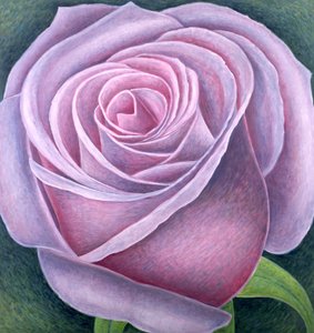 Grande rose, 2003